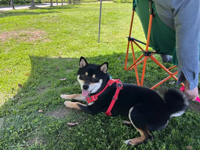 39628d9a35b60a60424c8aec4f76aa98 摄影作品