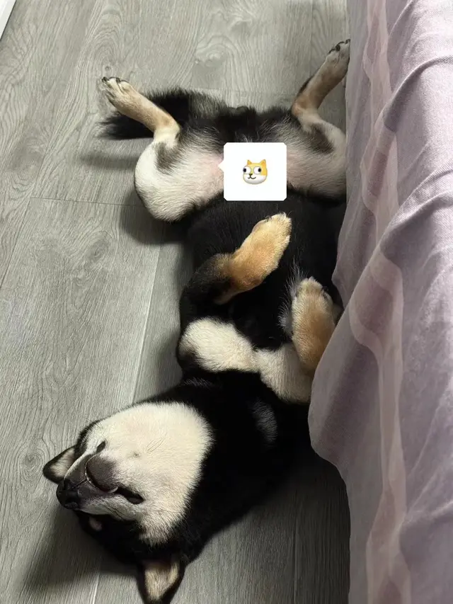 5a51aca1f1067ff504ab25b6f5ea758f 摄影作品