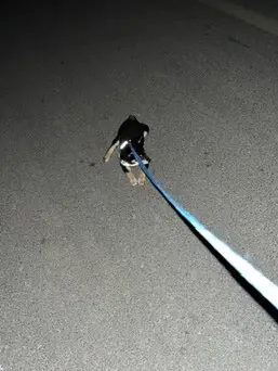 IMG 0005 摄影作品