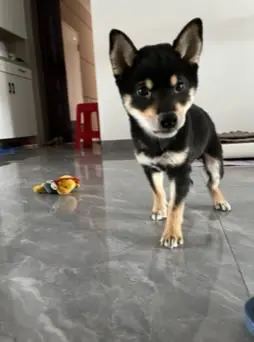 IMG 0017 摄影作品