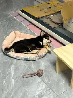 IMG 0031 摄影作品