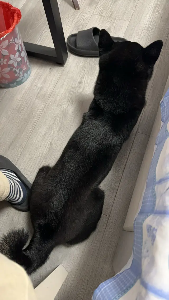 IMG 0211 摄影作品