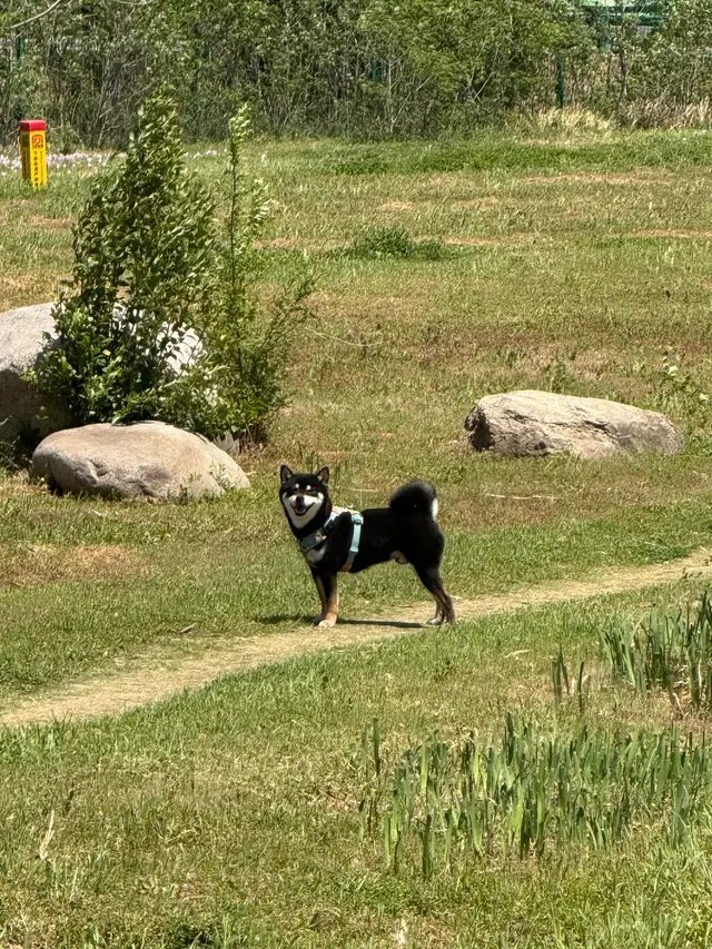 IMG 0342 摄影作品