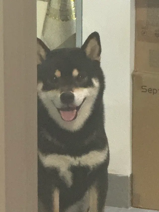 IMG 0447 摄影作品